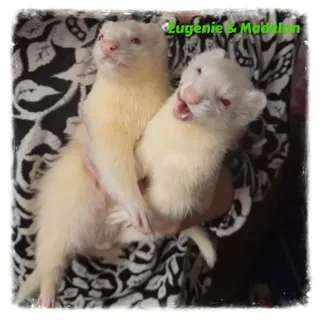 Eugénie & Madeleine