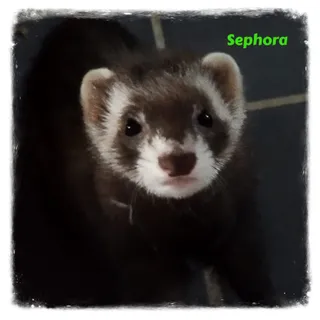 Sephora