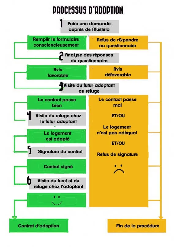 Schéma du processus d’adoption chez Mustela